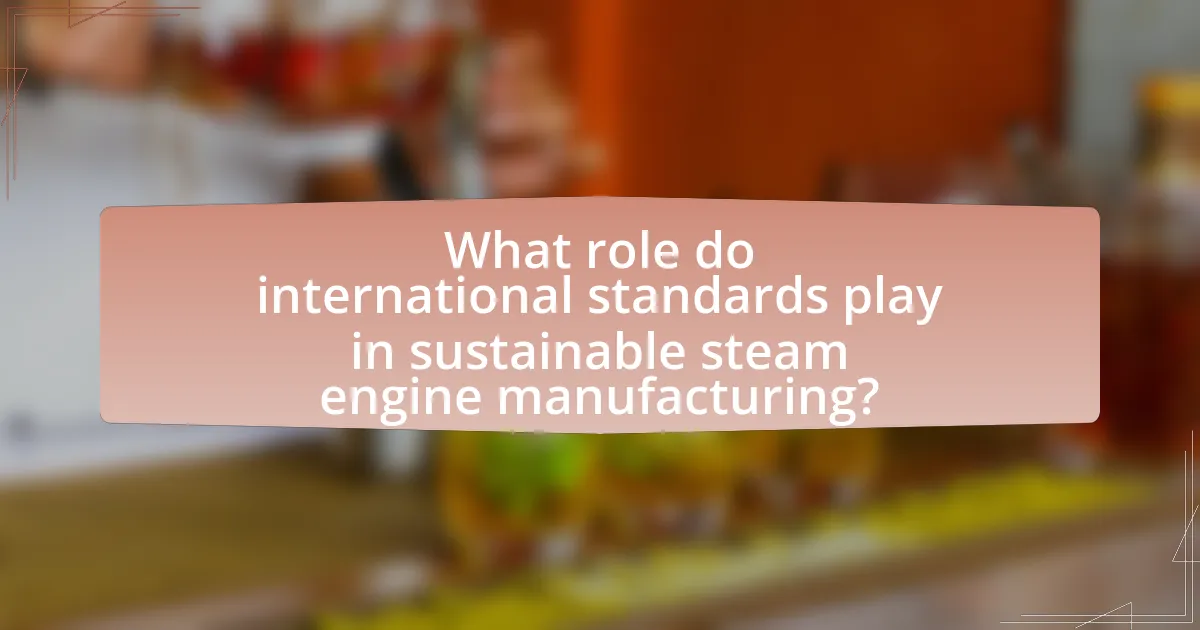 What role do international standards play in sustainable steam engine manufacturing?